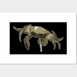 Smoking Crab Posters and Art